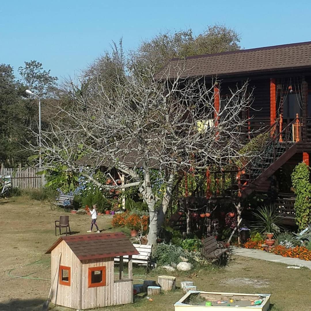 Black-House Pizunda Exterior photo